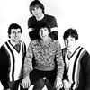 Troggs The - Wild Thing