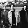 Better Than Ezra - King Of New Orleans